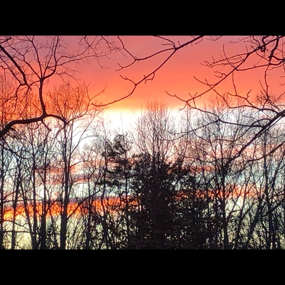 Meet your Posher, Mary - Picture 2 of 7